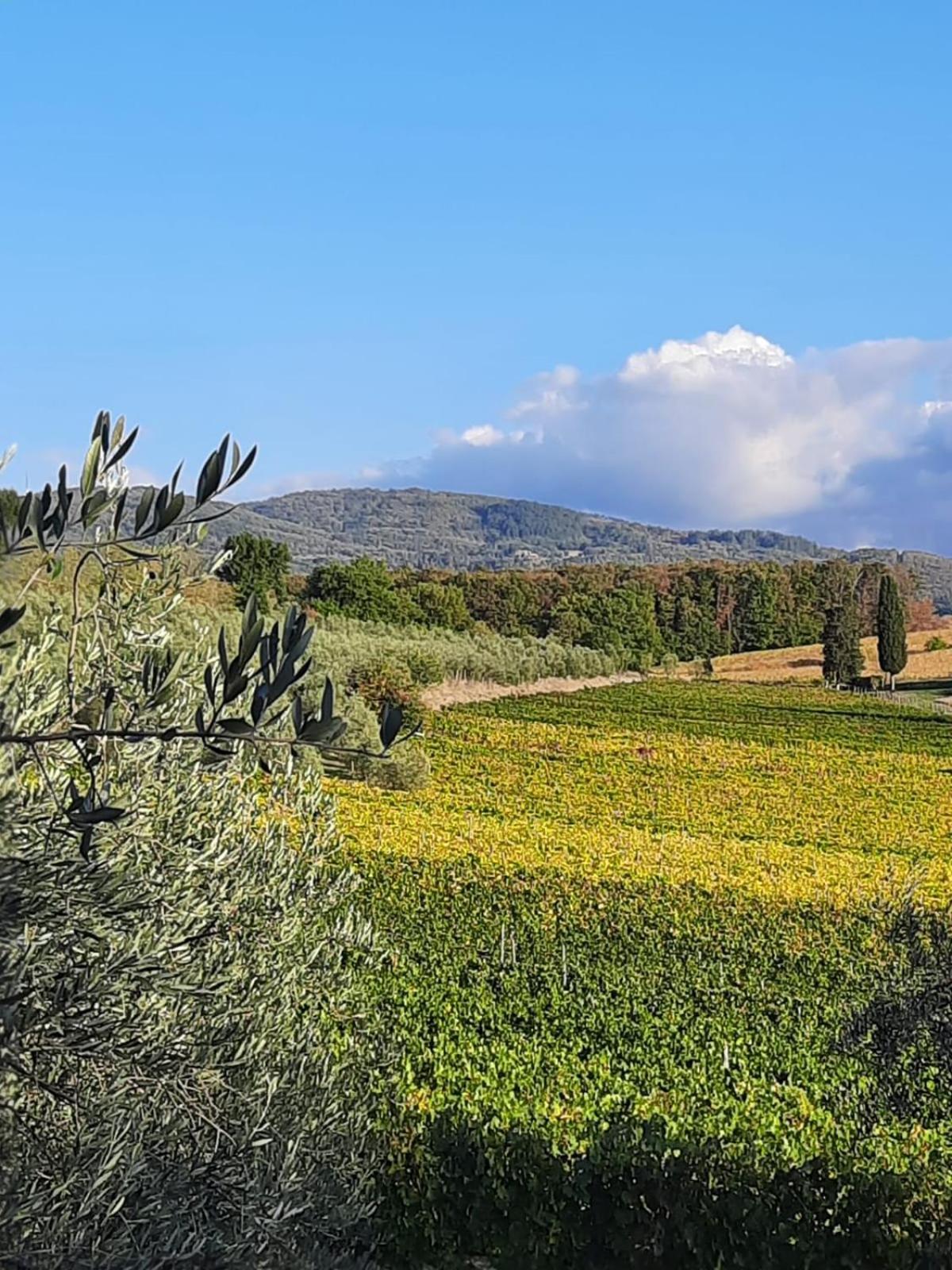 Agriturismo Circugnano Grassina Buitenkant foto