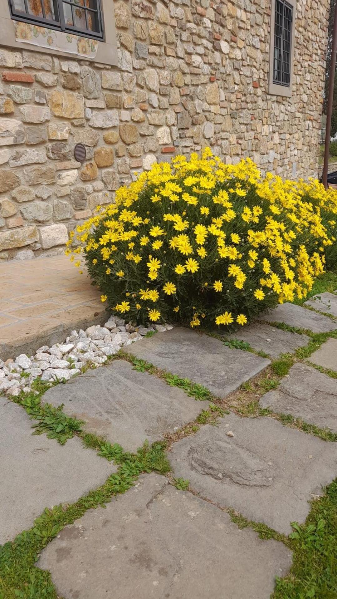 Agriturismo Circugnano Grassina Buitenkant foto