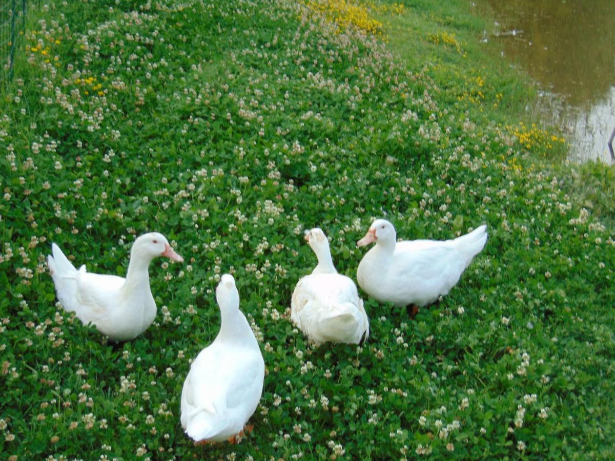Agriturismo Circugnano Grassina Buitenkant foto