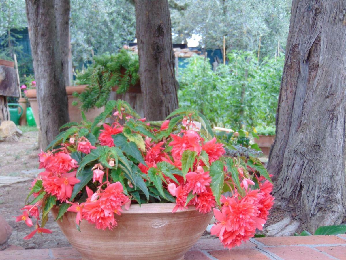 Agriturismo Circugnano Grassina Buitenkant foto